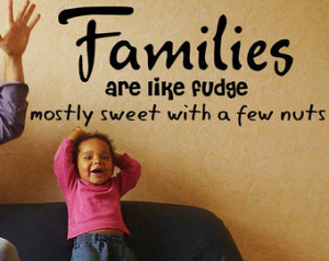 Family Vinyl Wall Quote Funny Words Lettering