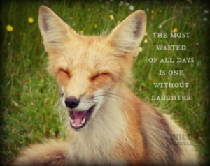 ... Animal, Red Fox, Animal Portrait, Inspirational Quote, Rustic Cabin