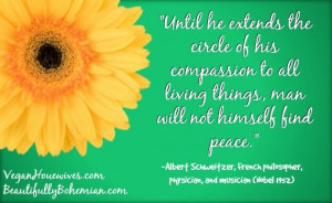 vegan lifestyle being vegan is healing