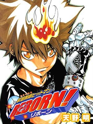 Katekyo Hitman Reborn Manga