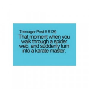 spiderweb #ninja #quote #funny