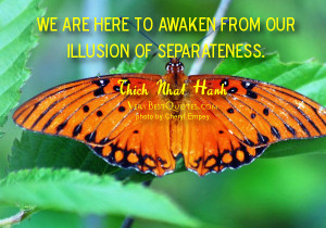 ... to awaken from our illusion of separateness. Thich Nhat Hanh Quotes