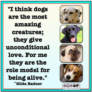 quotes about dogs / by Gilda Radner