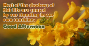 00-good-afternoon-picture-quotes-430x241