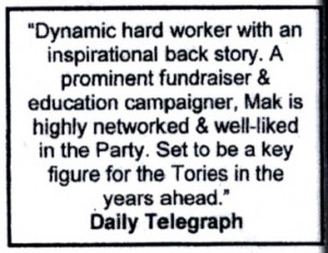 Alan Mak Telegraph quote