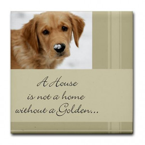 house is not a home without a Golden:)