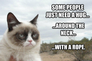 ... just need a hug... ...around the neck... ...with a rope. Grumpy Cat