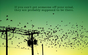 Quotes About Flying Like Birds