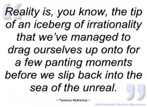 reality is terence mckenna