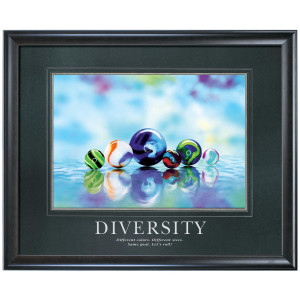 Diversity Marbles Motivational Poster (733446)
