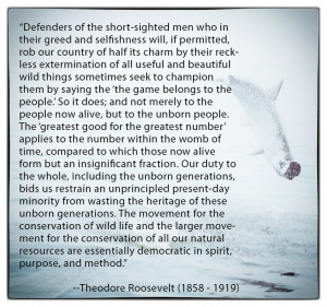 Theodore Roosevelt