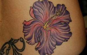 hibiscus flowers with purple purple and orange hibiscus pink hibiscus ...