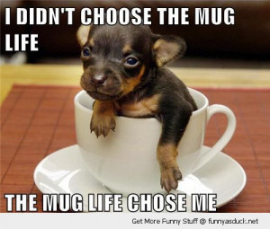 funny-cute-puppy-dog-cup-mug-life-choose-me-pics.jpg
