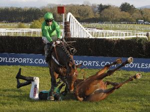 Mossey Joe ready for Stratford | Sporting Life - Horse Racing News ...