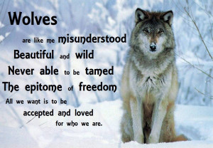Wolf Quotes Wolves are like me