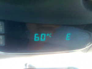 from Hermosillo, Sonora. Just south from Arizona!