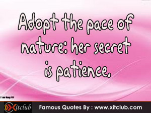 You Are Currently Browsing 15 Most Famous Wisdom Quotes