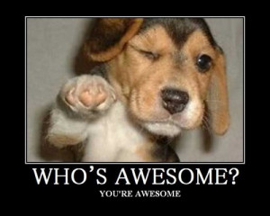 dog, beagle, who's, awesome?, you're, awesome, wink, ;), dog, puppy ...