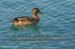 On the Surface Be Calm Like a Duck Quote