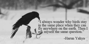 ... Stay In The Same Place When They Can Fly Anywhere On Earth Quote By