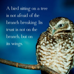 made this! #owl #quote