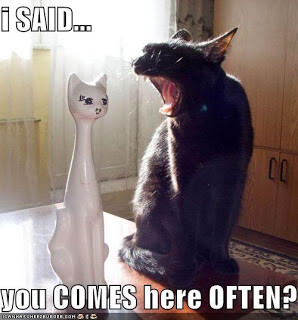 Funny Cat Quotes Clip Art Picture Comments graphics