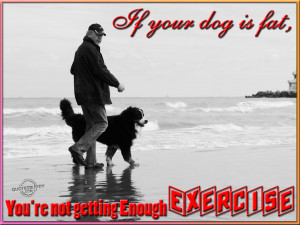 If your dog is fat, you’re not getting enough exercise