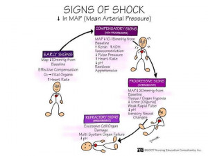 Signs Of Shock Mean Arterial Pressure (MAP Shock)