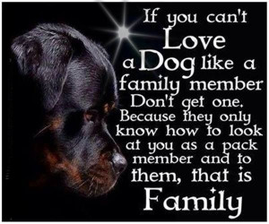 Dogs are family