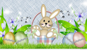 spring-bunny-easter-eggs-51257