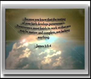 PERSEVERANCE BIBLE VERSES