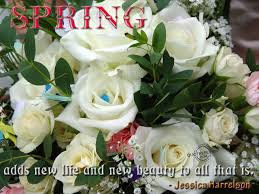 spring spring quote quotes of spring spring quotes inspiring quotes ...