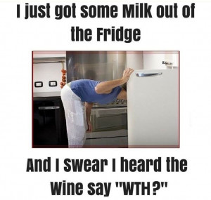 Home Stretch Humor - Sometimes, wine is jealous...