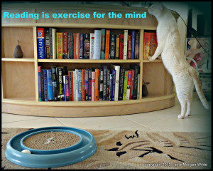 Reading Quote Cat Exercise
