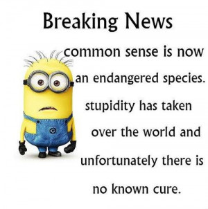 Funny Minions Quotes Of The Week April 7 2015