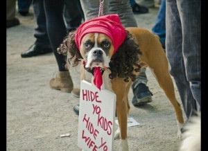 30 Most Funniest Dog Costumes that will cheer you up - Halloween Dogs
