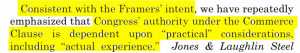 ... granted the federal government strong power, according to Ginsburg