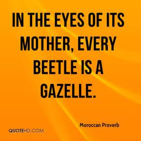 Moroccan Proverb - In the eyes of its mother, every beetle is a ...