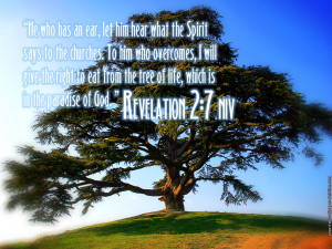 Revelation 2:7 – Tree of Life Papel de Parede Imagem