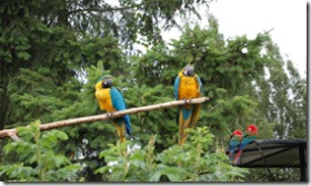 Beautiful Summer Morning Inspirational Quote of the Day: Thursday ...