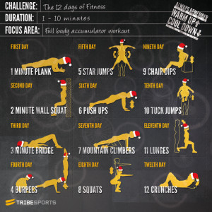 ... lose weight, fitness workouts, workout challenges, fitness challenges