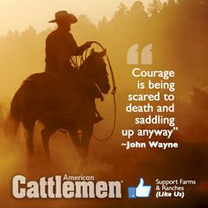 www.americancattlemen.comcowboy theme, american cattlemen