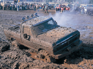 Who Loves Truck, car... Mudding??? If so, do you like it?