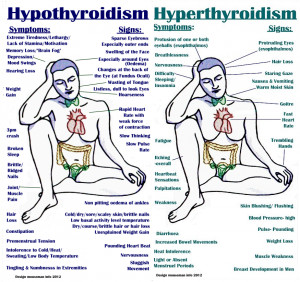 HYPOthyroidism or HYPERthyroidism - Compare