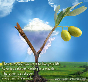 Life quotes graphics, orkut scraps, life sayings, images, animated ...