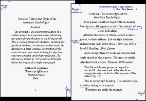 APA title & text page format