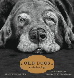 Old Dogs are the Best Dogs