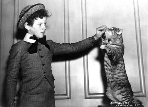 Tommy Kelly in the 1938 production of THE ADVENTURES OF TOM SAWYER