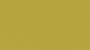 Free 2560x1440 resolution Brass solid color background, view and ...