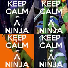 ... tmnt boards tmnt 2012 ninjas turtles mutant ninjas tmnt collection